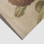 Poppy ventilator op onderdrukte ontkoppeling tissuepapier (Detail)