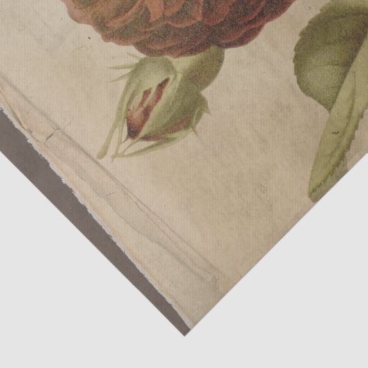 Poppy ventilator op onderdrukte ontkoppeling tissuepapier (Detail)