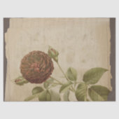 Poppy ventilator op onderdrukte ontkoppeling tissuepapier (Voorkant)