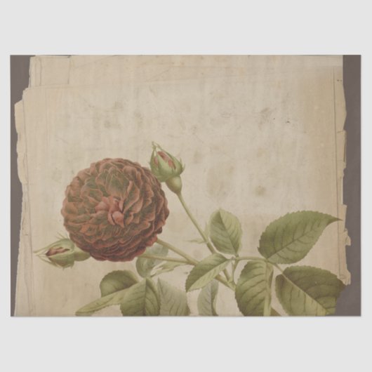 Poppy ventilator op onderdrukte ontkoppeling tissuepapier (Voorkant)