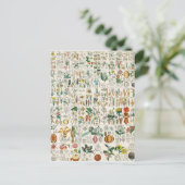 Poppy, Violet Plant Classifications Briefkaart (Staand voorkant)