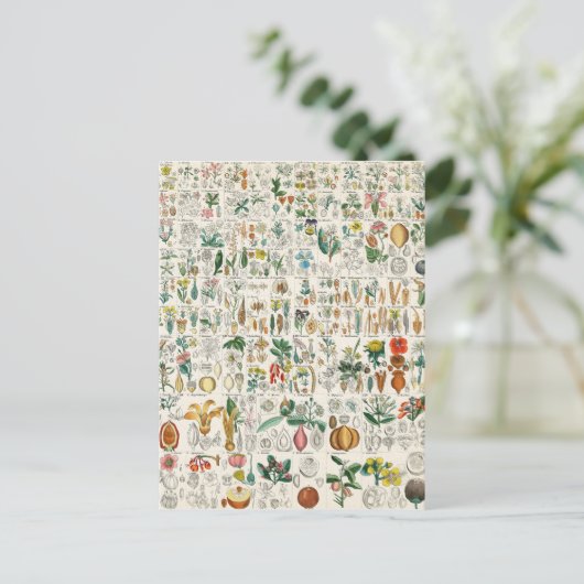 Poppy, Violet Plant Classifications Briefkaart (Staand voorkant)