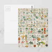 Poppy, Violet Plant Classifications Briefkaart (Voorkant / Achterkant)