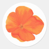 Poppy Wildflower Oranje Sticker (Voorkant)