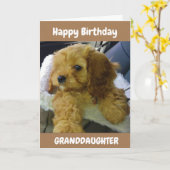 POPPY WISHEERT VOOR **GRANDDAUGHTER** BIRTHDAY KAA KAART (Gele Bloem)