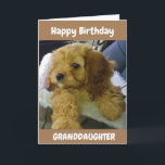 POPPY WISHEERT VOOR **GRANDDAUGHTER** BIRTHDAY KAA KAART<br><div class="desc">DANK JE ZO VEEL VOOR EEN VAN MIJN ACHT STORES!!!</div>