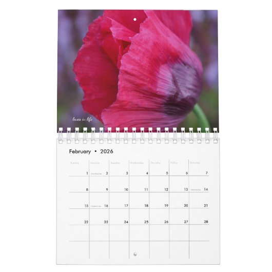 Poppyventilator Kalender (Feb 2026)