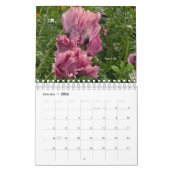 Poppyventilator Kalender (Jan 2026)
