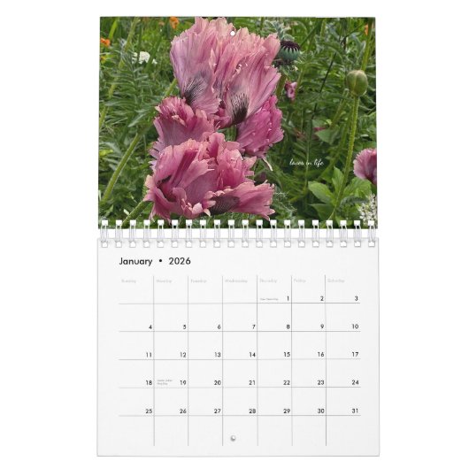Poppyventilator Kalender (Jan 2026)