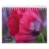 Poppyventilator Kalender (Hoes)