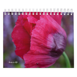 Poppyventilator Kalender