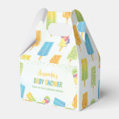 Popsicle Baby shower Ice Cream Summer Party Bedankdoosjes (Achterkant)