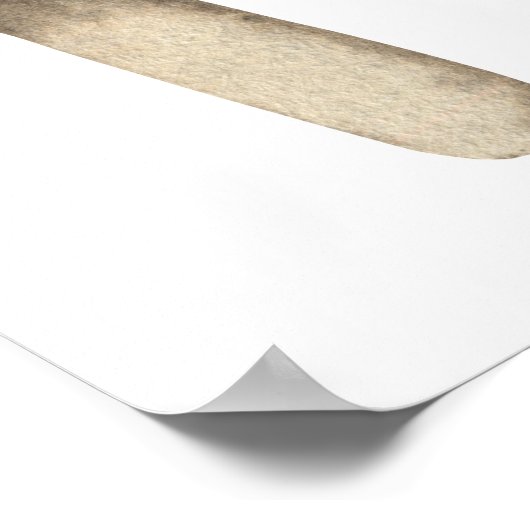 Popsicle Welkom baby shower feest foam board Poster (Hoek)