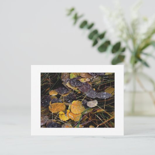 "Popsicles van de Natuur" Briefkaart (Staand voorkant)