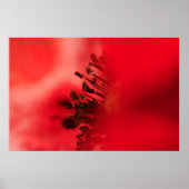 Populair hart poster (Voorkant)