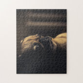 Populair ontwerp voor honden legpuzzel (Verticaal)