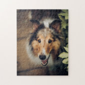 Populair ontwerp voor honden legpuzzel (Verticaal)