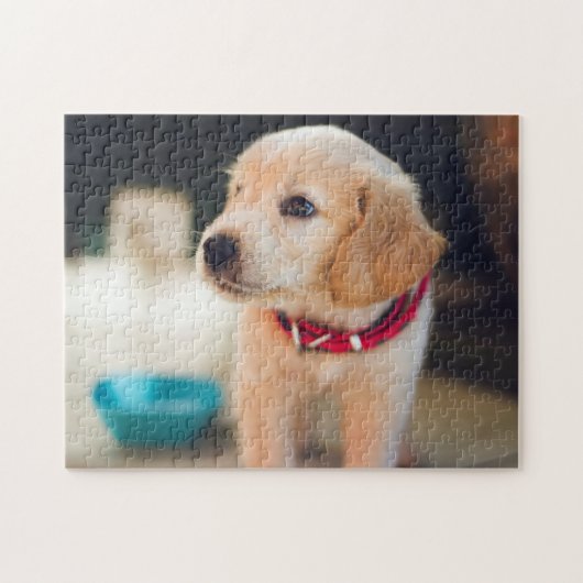 Populair ontwerp voor honden legpuzzel (Horizontaal)