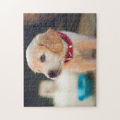 Populair ontwerp voor honden legpuzzel (Verticaal)