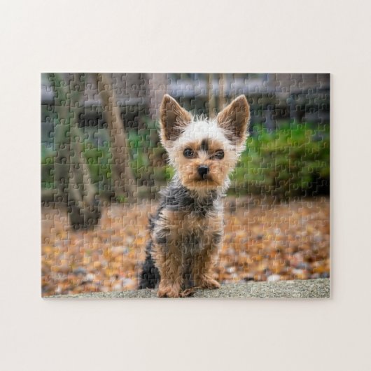 Populair ontwerp voor honden legpuzzel (Horizontaal)