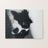 Populair ontwerp voor honden legpuzzel (Horizontaal)
