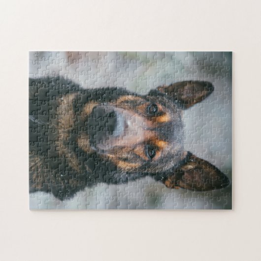 Populair ontwerp voor honden legpuzzel (Horizontaal)