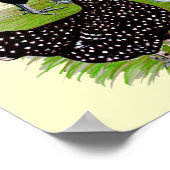 Populair witkuikenkwartet poster (Hoek)