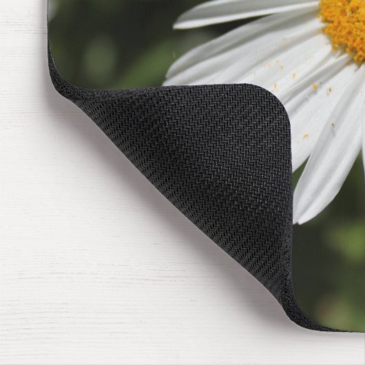 populaire bloem,  witte dagfoto muismat (Hoek)