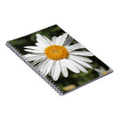 populaire bloem,  witte dagfoto notitieboek (Rechterzijde)