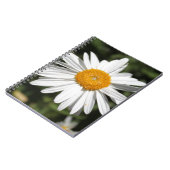 populaire bloem,  witte dagfoto notitieboek (Linkerzijde)