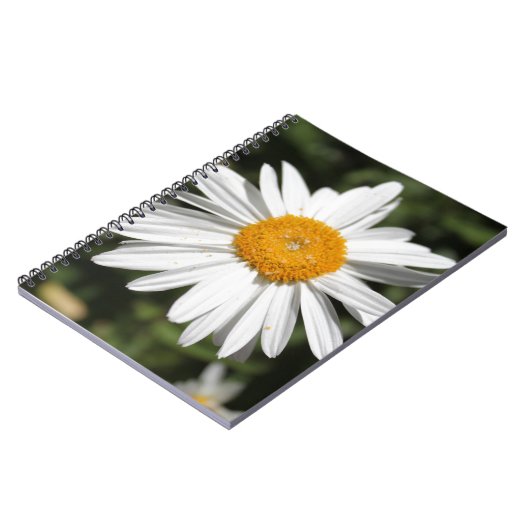 populaire bloem,  witte dagfoto notitieboek (Linkerzijde)