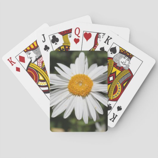 populaire bloem,  witte dagfoto pokerkaarten (Achterkant)