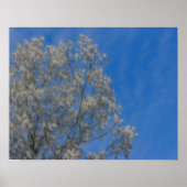 Populaire boompluissneeuw in juni Orton Natuur Art Poster (Voorkant)