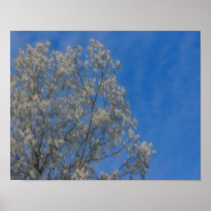 Populaire boompluissneeuw in juni Orton Natuur Art Poster