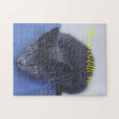 Populaire Cat Design Cft Legpuzzel (Horizontaal)