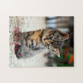 Populaire Cat Design Cft Legpuzzel (Horizontaal)