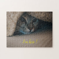 Populaire Cat Design Cft
