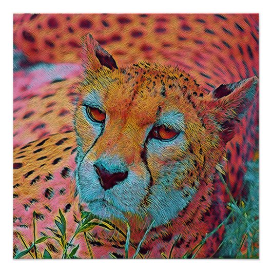 populaire dieren - Cheetah Perfect Poster (Voorkant)