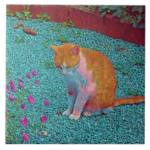 populaire dieren - kat tegeltje