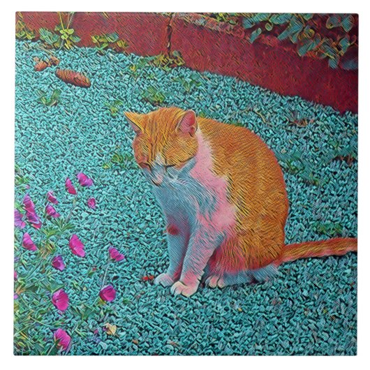 populaire dieren - kat tegeltje (Voorkant)