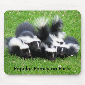 Populaire Flickr-familie Muismat