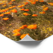 Populaire papaverbloem poster (Hoek)