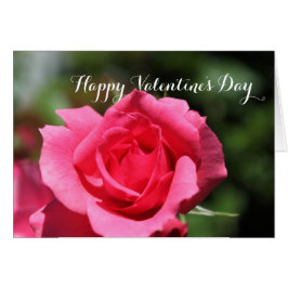 Populaire perfecte roze roos bloem gelukkig Valent