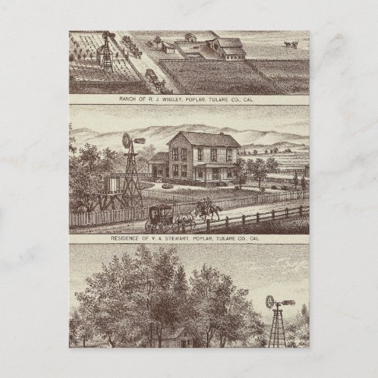 Populaire rangen briefkaart (Voorkant)