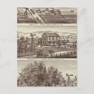 Populaire rangen briefkaart