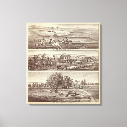 Populaire rangen canvas afdruk (Voorkant)