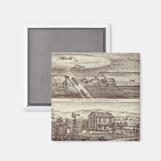 Populaire rangen magneet (Voorkant / Achterkant)