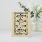populaire zoetwatervis van Louis Rhead Briefkaart (Staand voorkant)