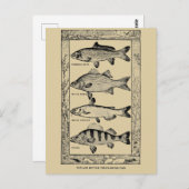 populaire zoetwatervis van Louis Rhead Briefkaart (Voorkant / Achterkant)