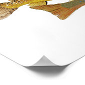 Populairste forel poster (Hoek)